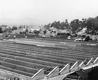 Kurashiki Ivy Square A factory environment made better through the power of nature 1888