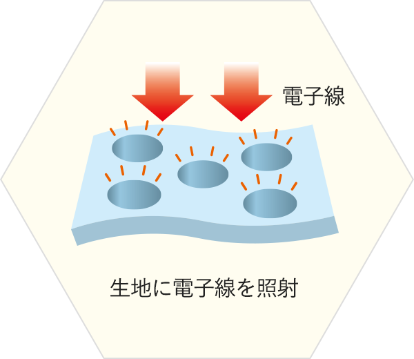 天然繊維に電子線を照射して分子を活性化！ウェアに新しい機能を！